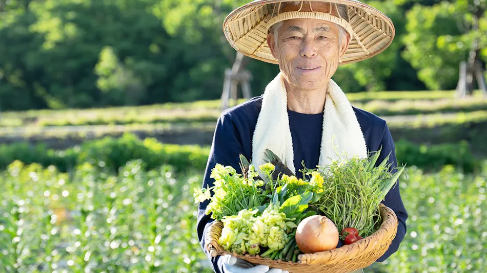 Ryuki: A Retreat for Mind and Body