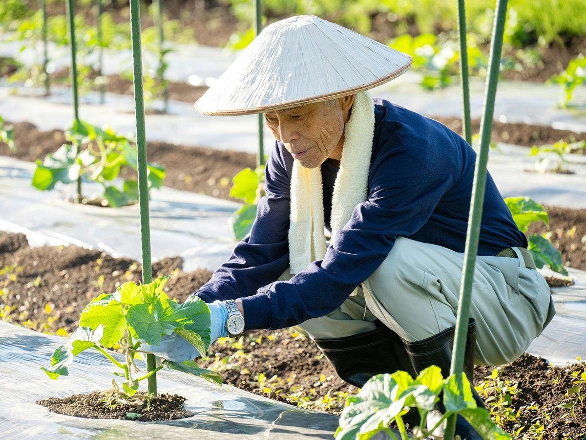 Ryuki: A Retreat for Mind and Body