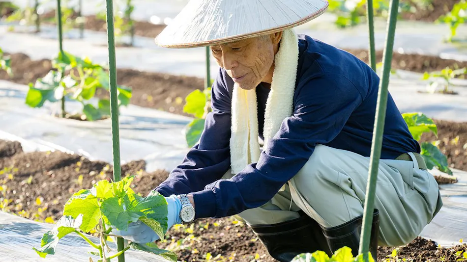 Ryuki: A Retreat for Mind and Body