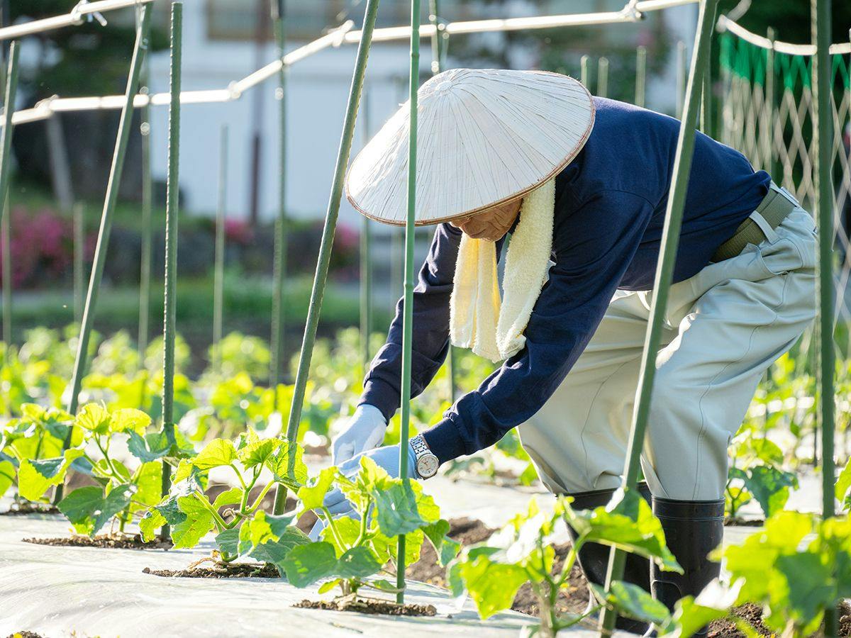 Ryuki: A Retreat for Mind and Body