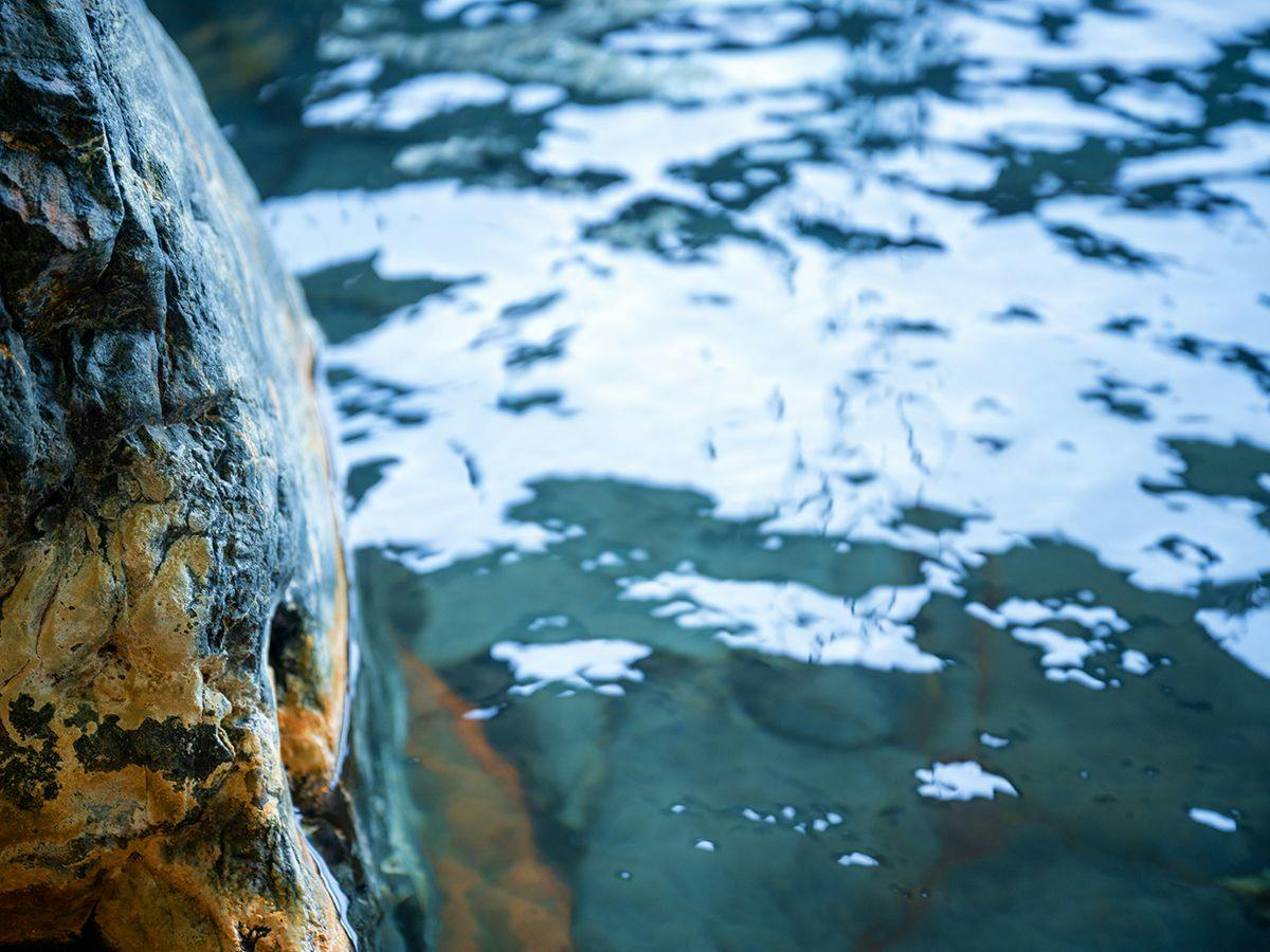 Ryuki: A Retreat for Mind and Body