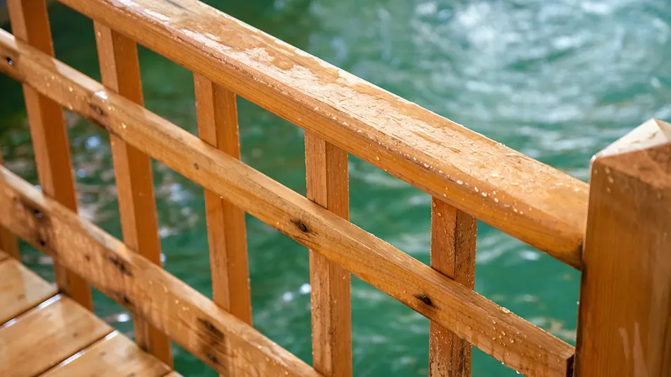 Ryuki: A Retreat for Mind and Body
