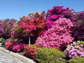 館林グランドホテル