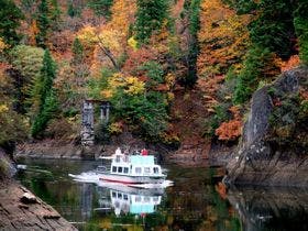 妖精の森コテージラウル