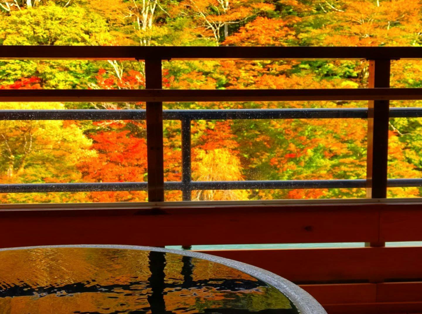 Ryokan Kamiaizuya