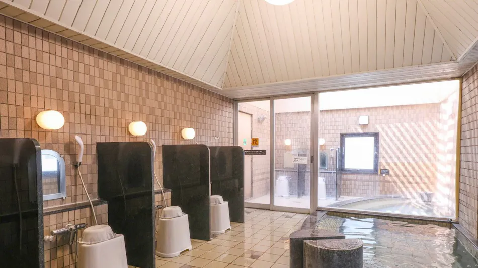 APA Hotel <Ogaki-Ekimae>