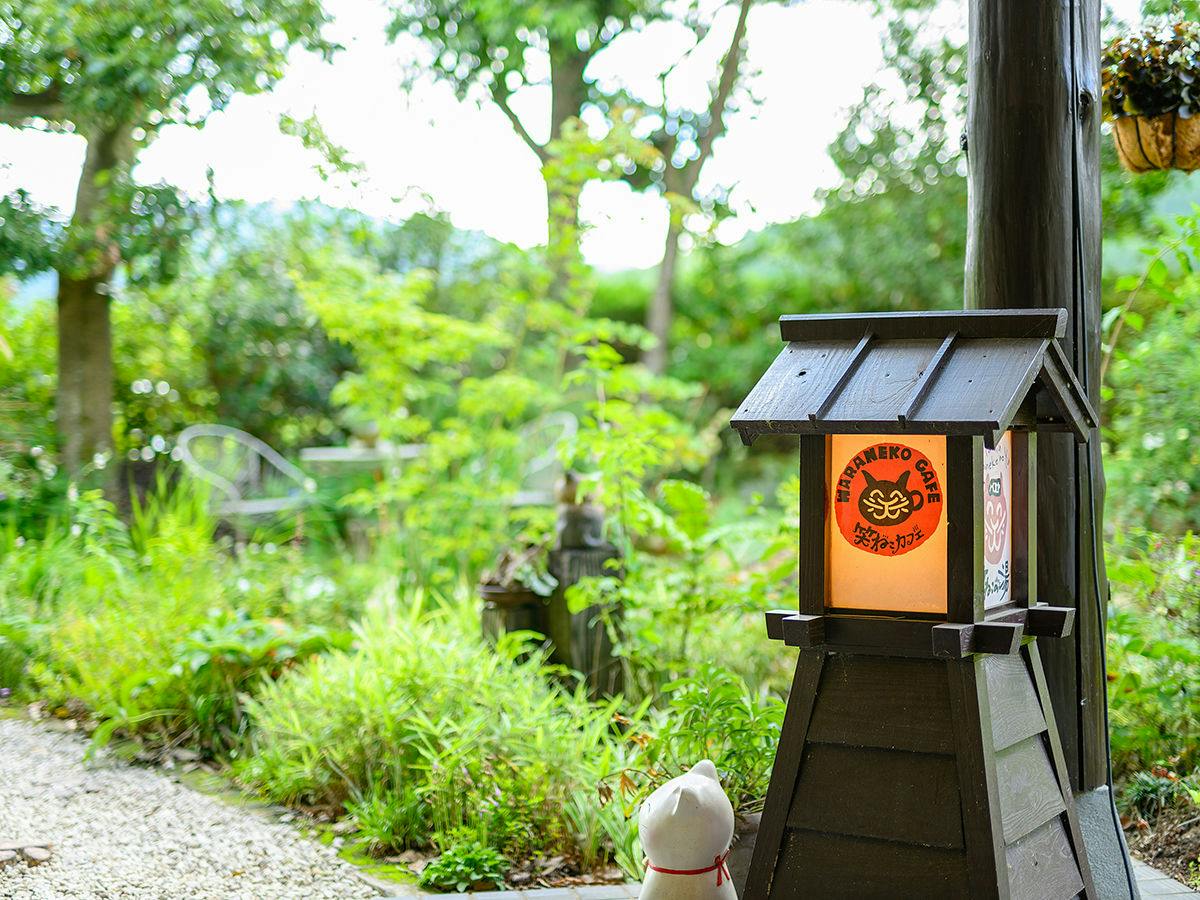 Yufuin Waraneko no Yado