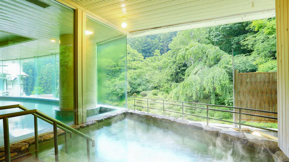 Ooedo Onsen Monogatari Higashiyama Grand Hotel