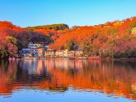 大江戸温泉物語　伊東温泉　伊東ホテルニュー岡部