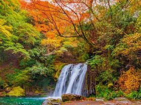 大江戸温泉物語　伊東温泉　伊東ホテルニュー岡部