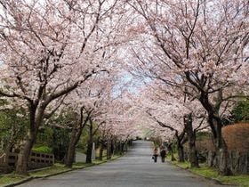 大江戸温泉物語　伊東温泉　伊東ホテルニュー岡部
