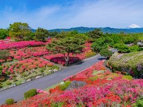 大江戸温泉物語　伊東温泉　伊東ホテルニュー岡部