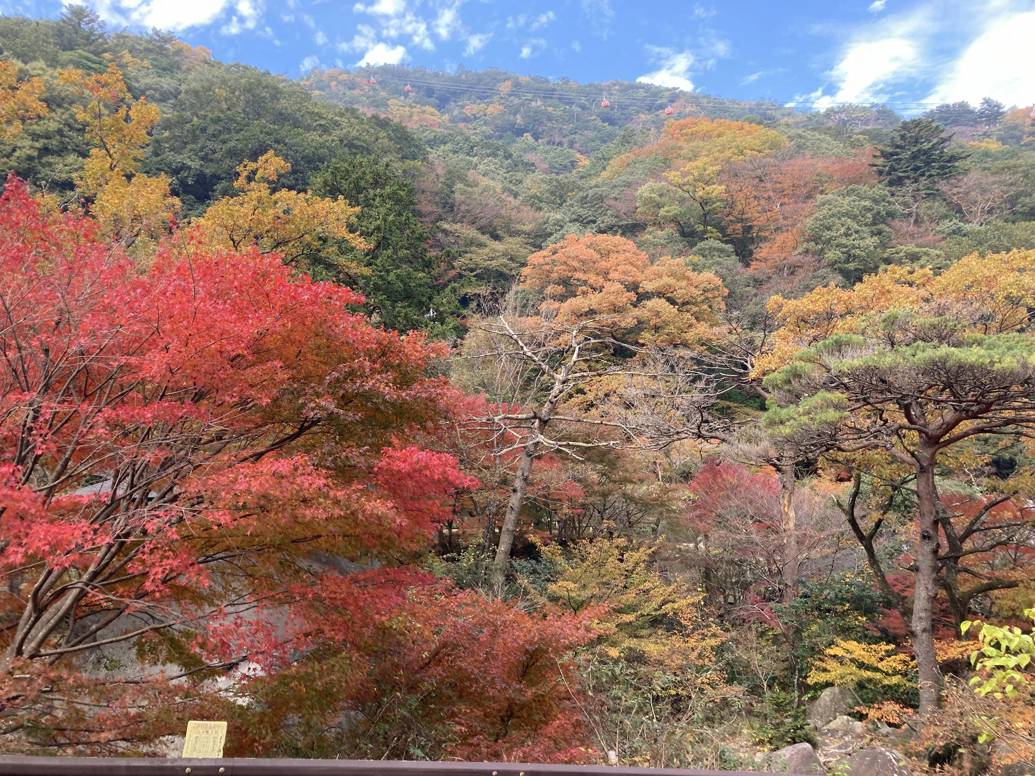 Yunoyama Onsen Kinka Suigetsu