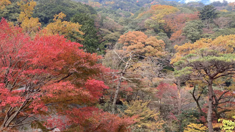 Yunoyama Onsen Kinka Suigetsu