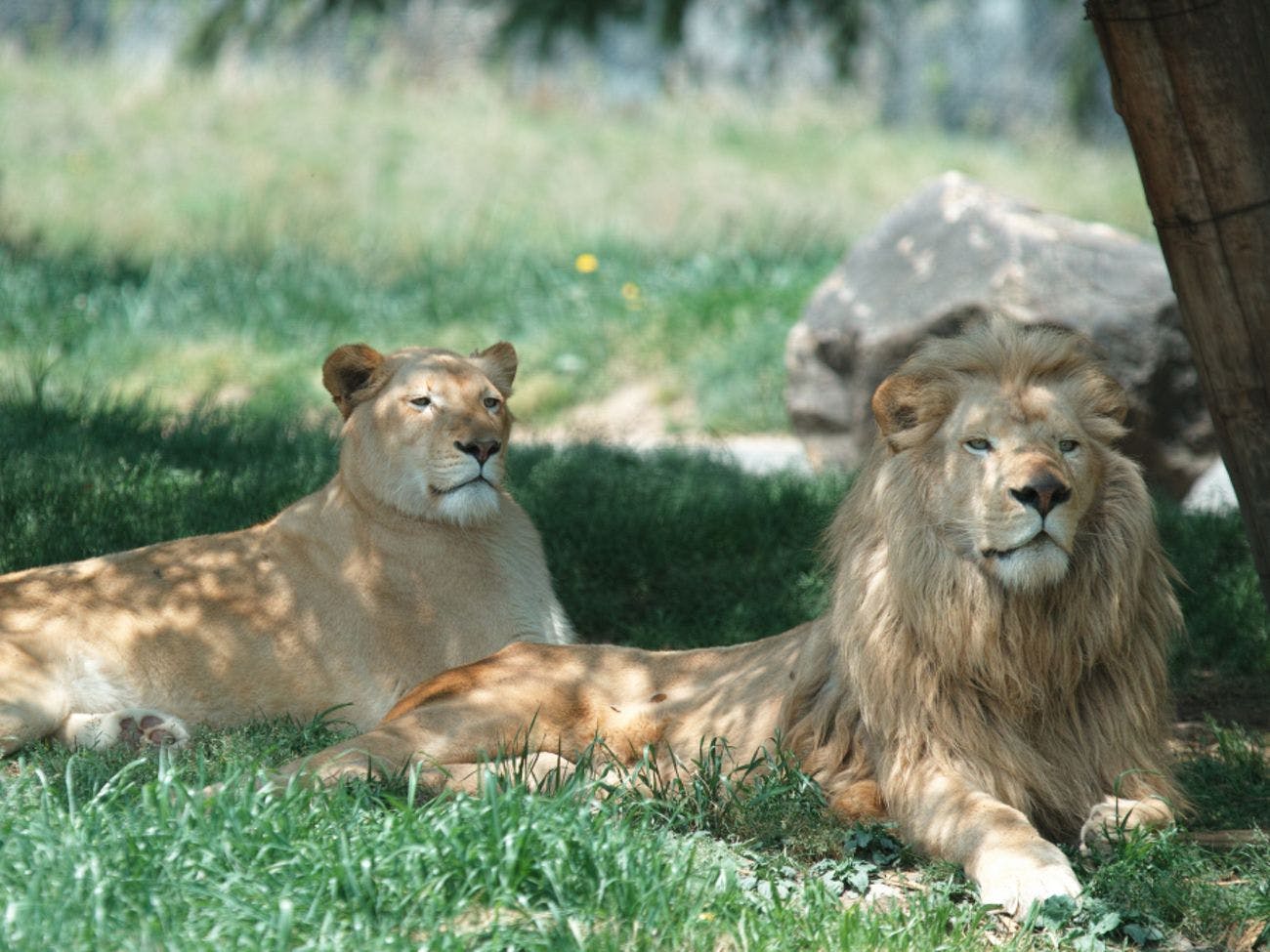 ขับรถ 50 นาทีถึง 【姫路セントラルパーク】