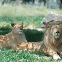 ขับรถ 50 นาทีถึง 【姫路セントラルパーク】