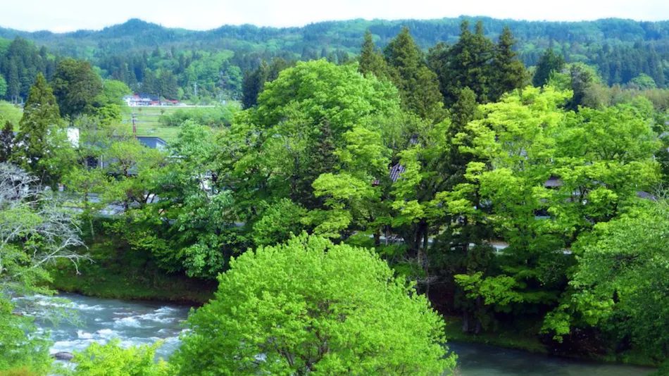 Itsukushien