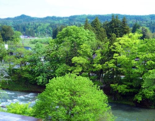 やよい亭101号室