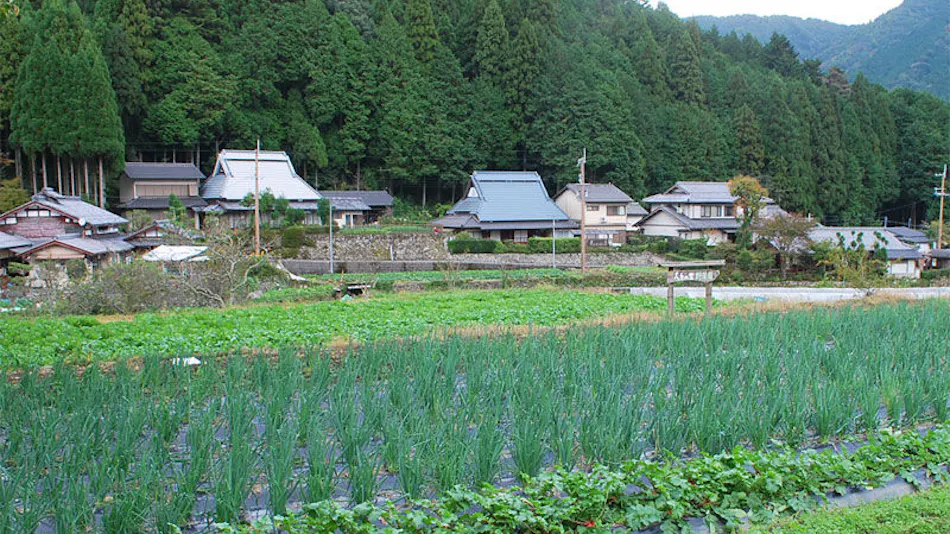 Minshuku in Ohara, Kyoto - Rare Miso with a 100-Year Tradition - Ohara Onsen Ohara no Sato