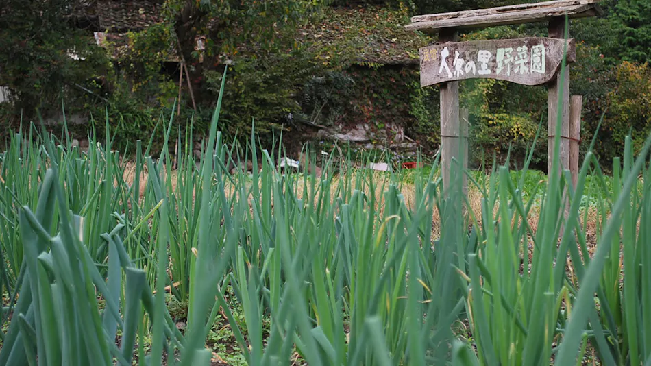 Minshuku in Ohara, Kyoto - Rare Miso with a 100-Year Tradition - Ohara Onsen Ohara no Sato
