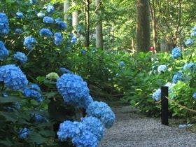京都　味噌と大原温泉　民宿　大原の里