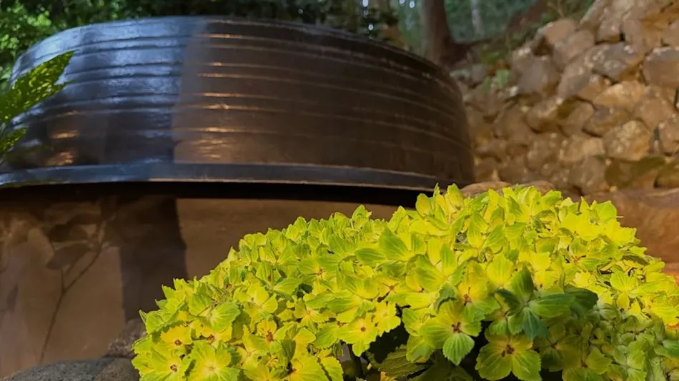 Minshuku in Ohara, Kyoto - Rare Miso with a 100-Year Tradition - Ohara Onsen Ohara no Sato