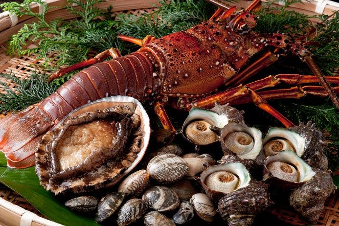 伊勢灣豐富的海鮮，如伊勢龍蝦！