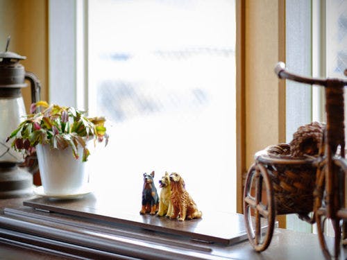 食事処イメージ