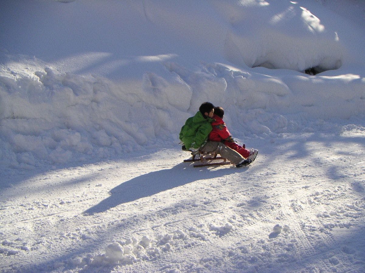 ทั้งผู้ใหญ่และเด็กเล่นหิมะต้องที่ยามาจิ!