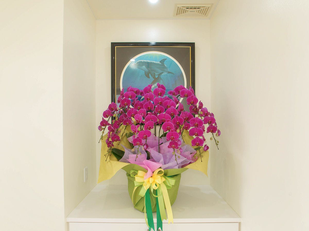 Family Villa Tradewind