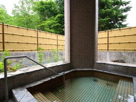 湯の元温泉旅館