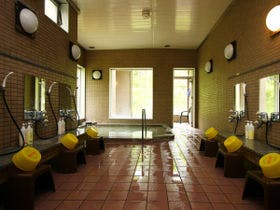 湯の元温泉旅館