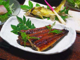 割烹料理旅館　新花の茶家