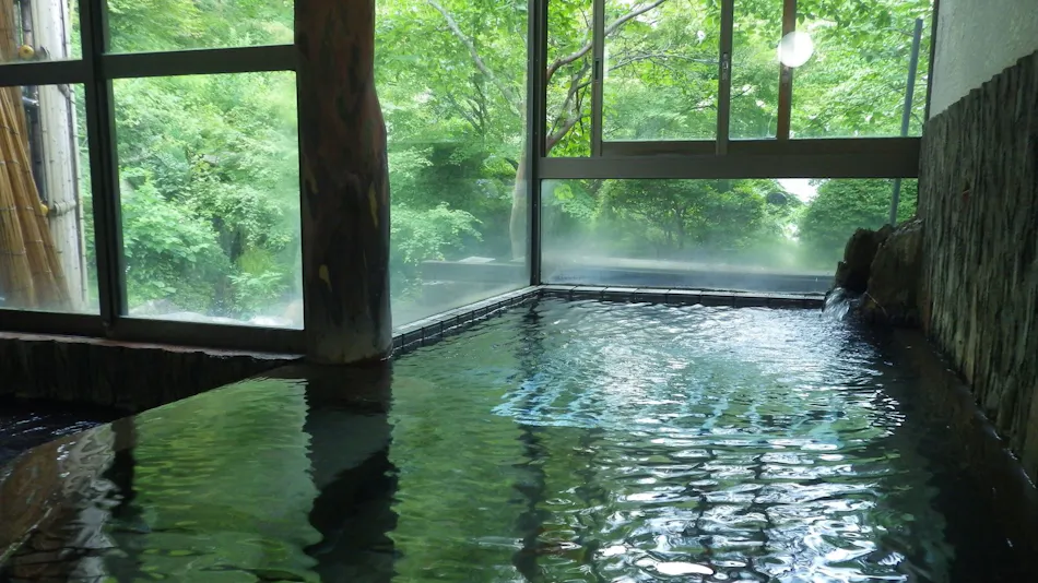 Mountain Hot Spring Waraku Yuen