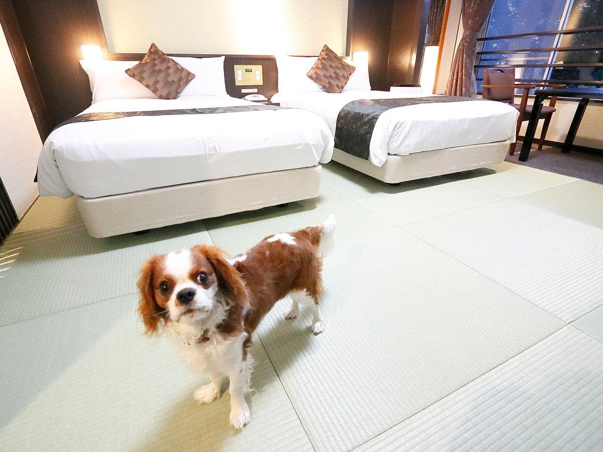 Chateraise Hotel Isawa