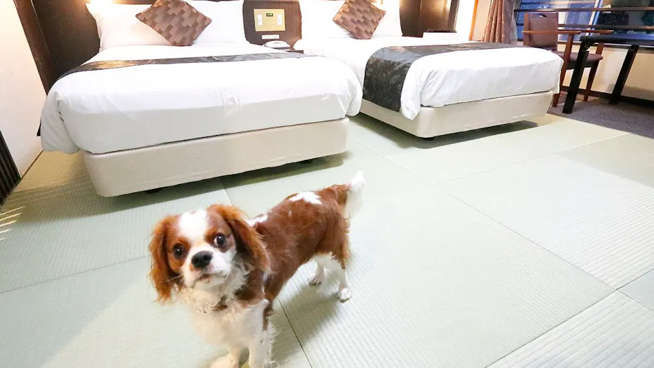 Chateraise Hotel Isawa