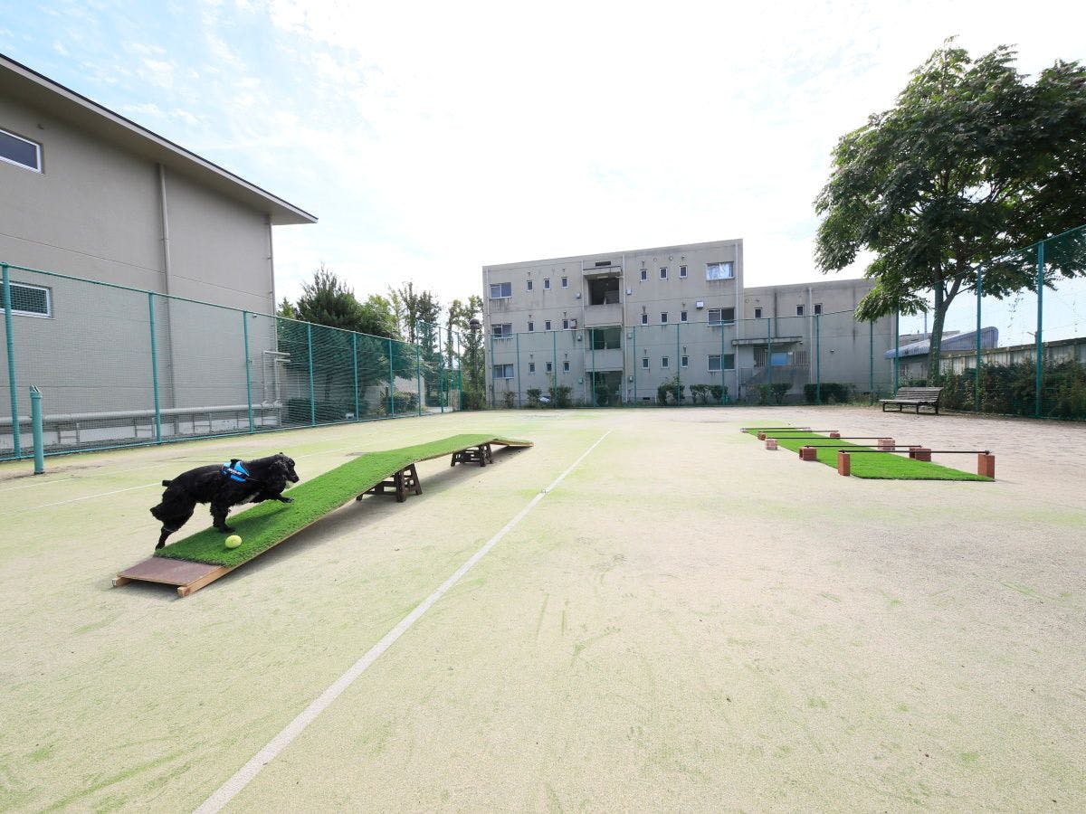 Chateraise Hotel Isawa