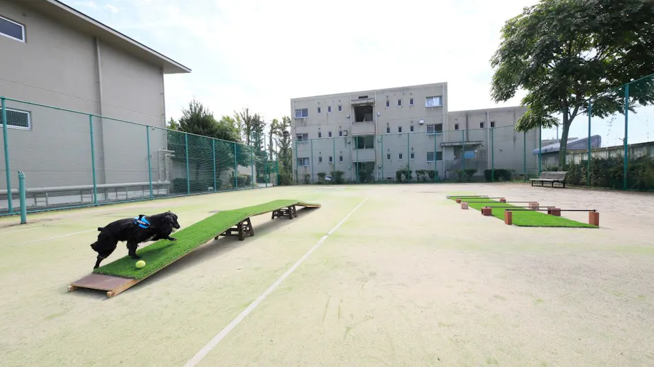 Chateraise Hotel Isawa