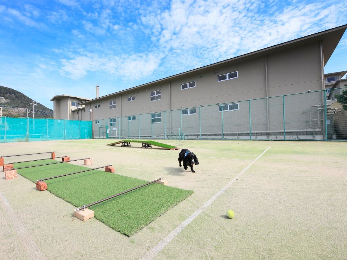 Chateraise Hotel Isawa