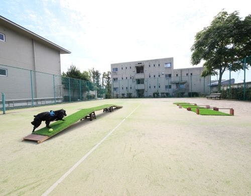 【ドッグラン】