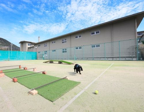 【ドッグラン】