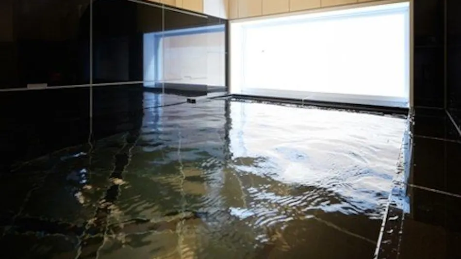 High Concentration Carbonated Spring Enbu no Yu Super Hotel Shinjuku Kabukicho