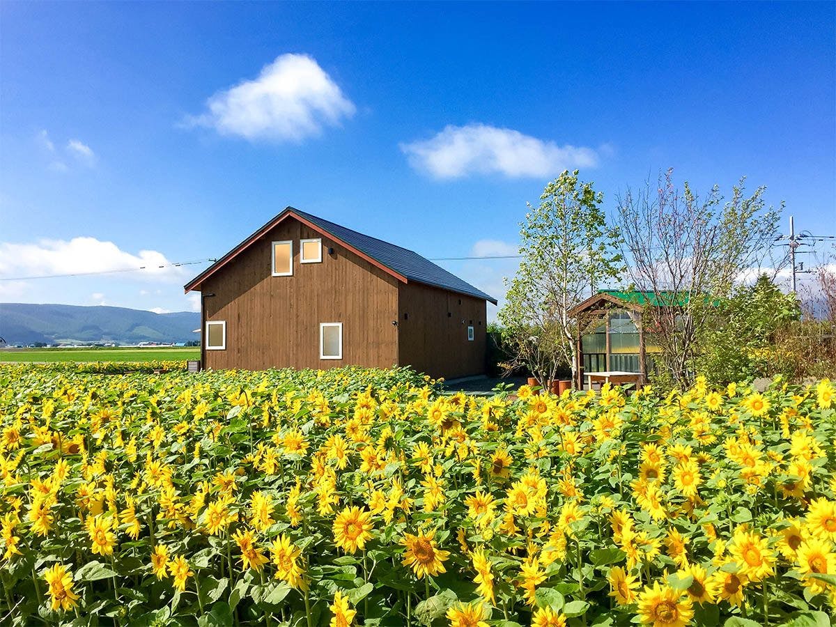 Country Cottage Kazuki Ai Ai