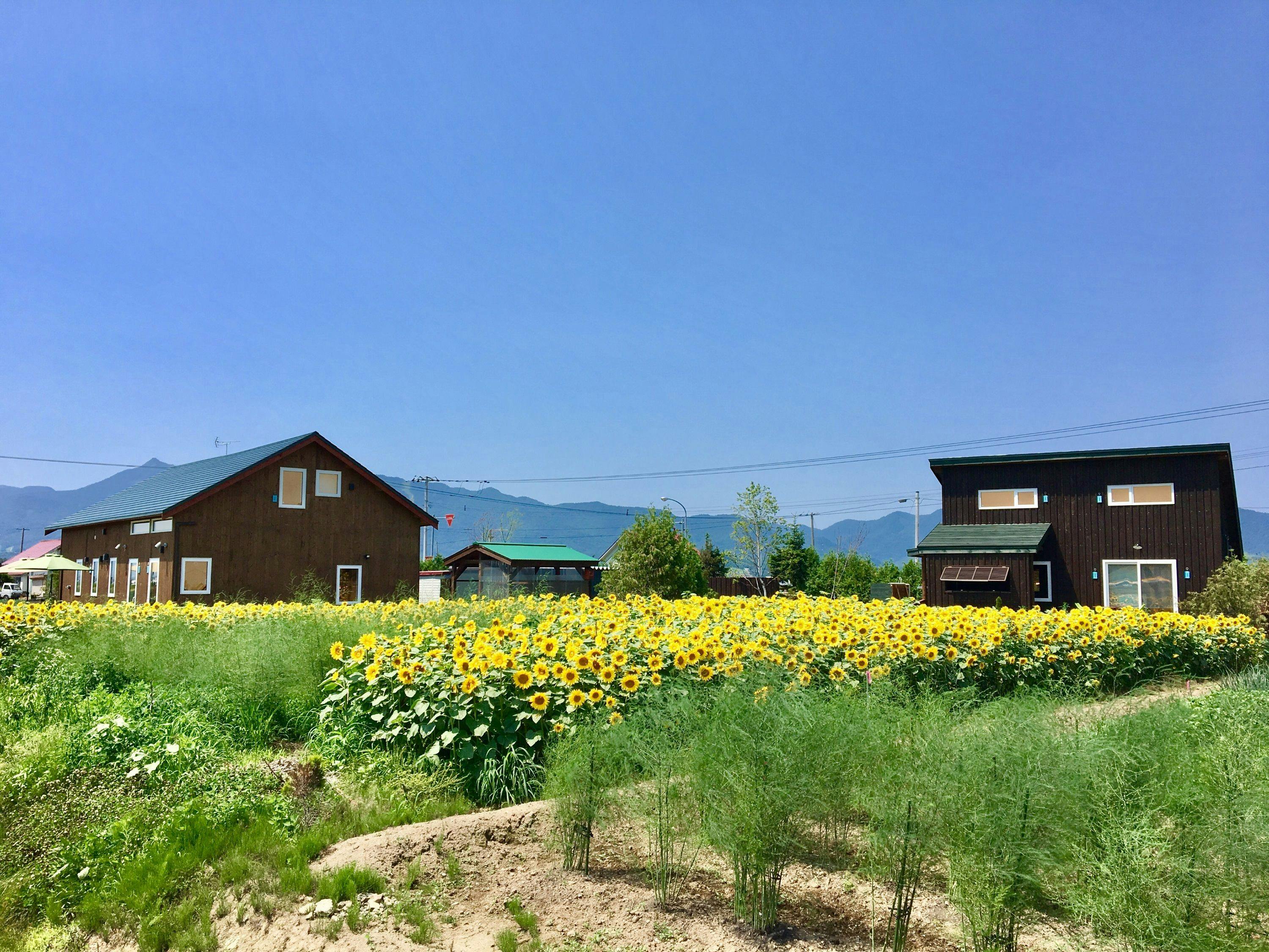 富良野の離れ コテージのお部屋 駐車場ありの 家族旅行におすすめのホテル 旅館 5選 お得に宿泊予約 Yahoo トラベル