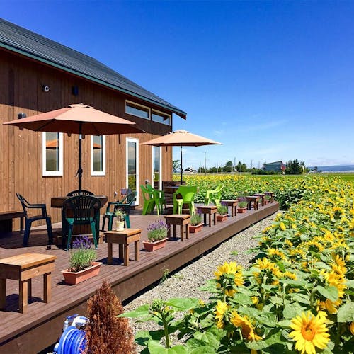 22年最新 ハーブガーデン富良野 Herb Garden Furano周辺でいま最も売れている宿ランキング Yahoo トラベル 22年最新 ハーブガーデン富良野 Herb Garden Furano周辺でいま最も売れている宿ランキング Yahoo トラベル