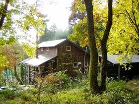 Ｃｏｔｔａｇｅ　樹樹