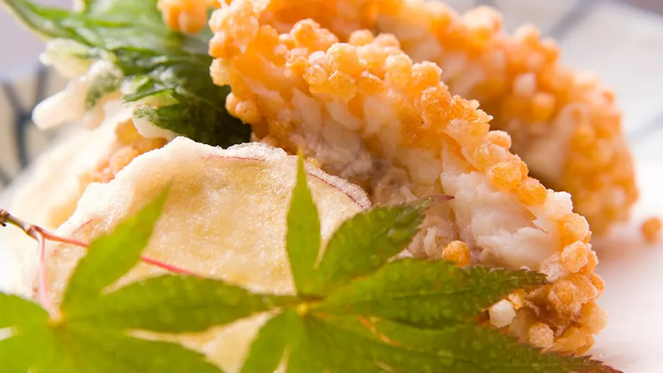 Shiosai no Yado Minshuku Tsukasa