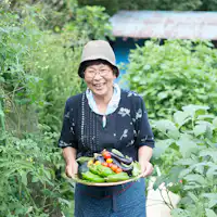 ・女將親自栽培無農藥的自家製作物。