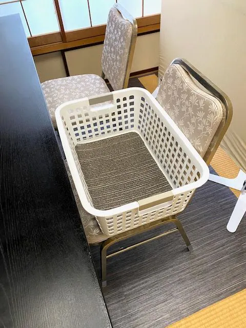 อนุญาตให้นำสุนัขเข้ามาในห้องอาหารได้