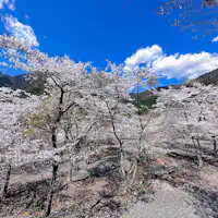 【Kampung Konya・Taman Sakura】Kira-kira 10 minit berjalan kaki dari penginapan kami